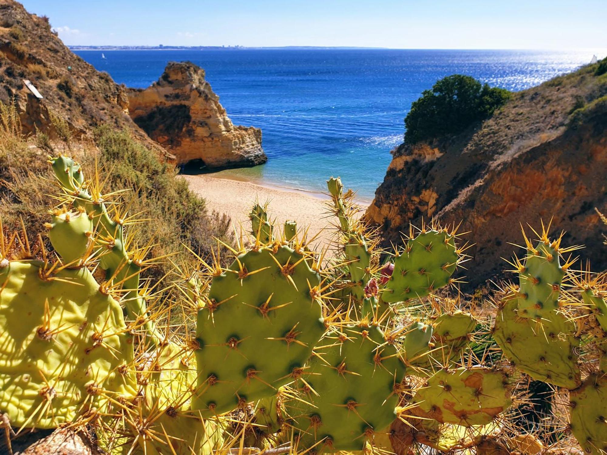 Villa Waterside Praia Da Luz Bagian luar foto